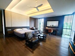 Toh Estate (D17), Detached #450032741